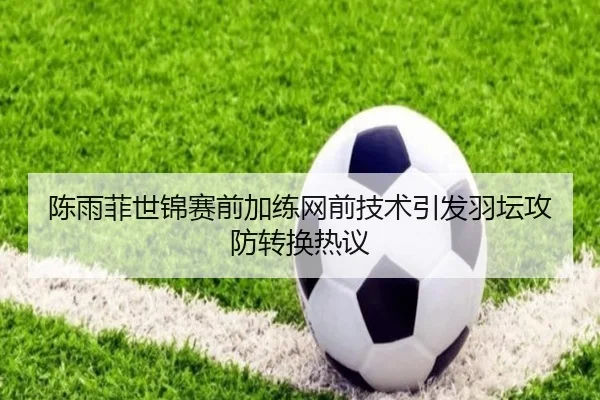 陈雨菲世锦赛前加练网前技术引发羽坛攻防转换热议